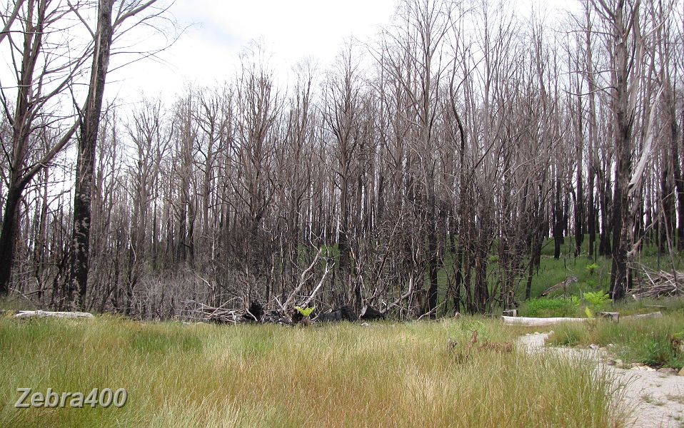 06-Keppel Hut is 10kms to the east of Marsyville - this is the view from outside the hut .JPG